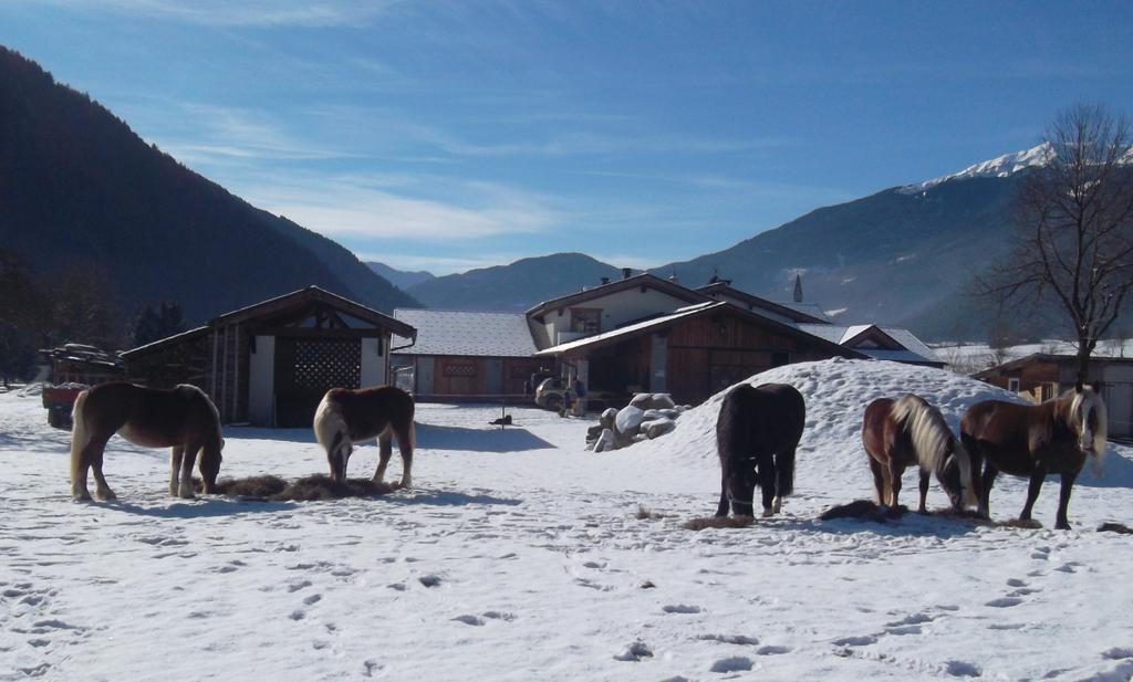 Agriturismo Maso Grisun Borzago Luaran gambar