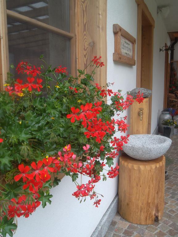 Agriturismo Maso Grisun Borzago Bilik gambar