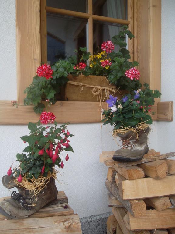 Agriturismo Maso Grisun Borzago Luaran gambar