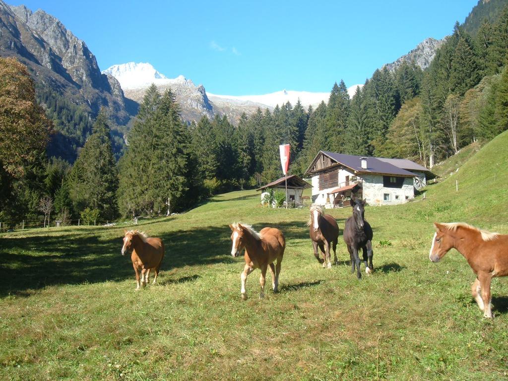 Agriturismo Maso Grisun Borzago Luaran gambar