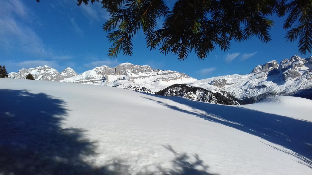 Agriturismo Maso Grisun Borzago Luaran gambar