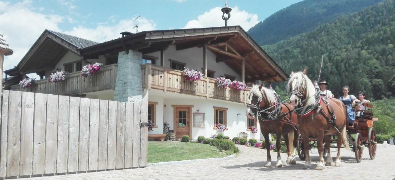 Agriturismo Maso Grisun Borzago Luaran gambar